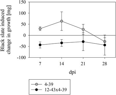 Enzymatic Bioweathering and Metal Mobilization From Black Slate by the Basidiomycete Schizophyllum commune